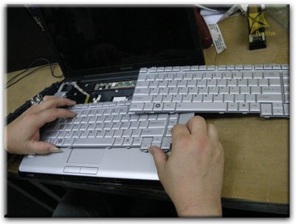 Ремонт клавиатуры на ноутбуке Toshiba в Архангельске